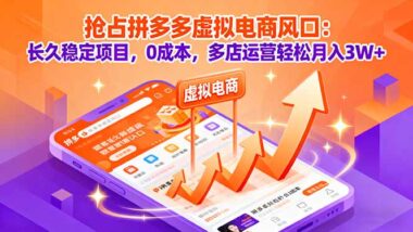 多多虛擬電商-長久穩定帶你年入百萬-資源網站