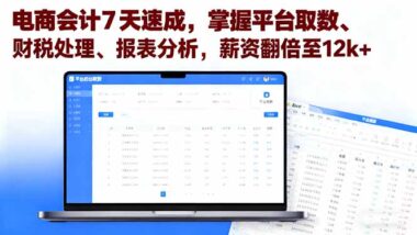 實操為王-電商會計速成課-帶你玩轉(zhuǎn)電商財務-資源網(wǎng)站