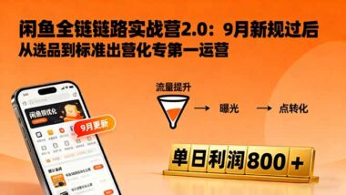 閑魚變現3.0實戰攻略-13節課讓你訂單量翻倍-資源網站