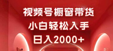 0基礎玩轉視頻號櫥窗帶貨-新手日賺2000+秘籍大公開-資源網站