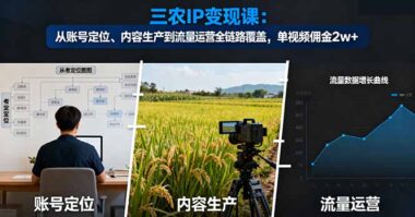 打造高流量三農IP：從零到月入3萬的實戰指南-資源網站