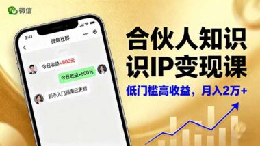 IP合伙人實戰營：微信+短視頻-3個月被動收入翻3倍-資源網站