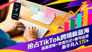 TikTok跨境暴富秘籍大公開：流量密碼+變現捷徑+賬號運營全攻略-新手輕松月入過萬-資源網站