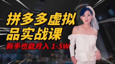 2025穩賺秘籍:拼多多虛擬電商-小白輕松月入5W-資源網站