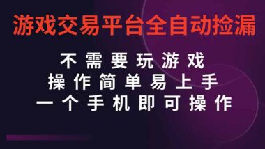 CSGO全新玩法:全自動撿漏-手機操作躺賺-資源網站