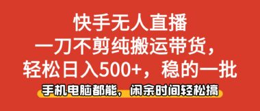 快手無人直播帶貨新風口：零粉起步-日入500+輕松實現-資源網站