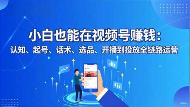 視頻號新手逆襲攻略：一站式掌握運營與投放技巧-資源網站