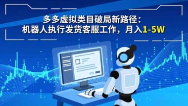 多多虛擬類目-單人操作也能日賺上千-資源網站