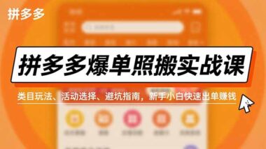 拼多多爆單秘籍大公開-照搬實戰課-類目玩法+活動攻略+避坑指南-小白速賺