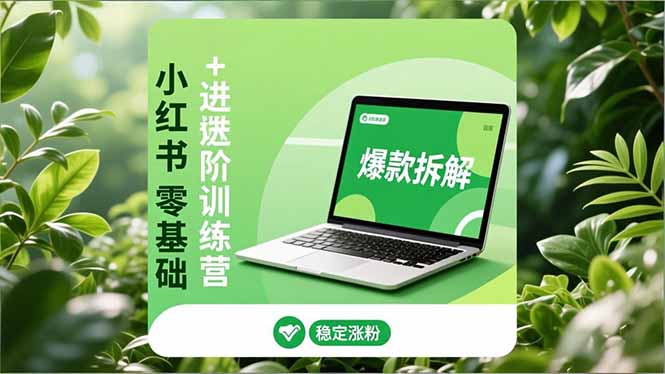 圖片[1]-小紅書運營全攻略：基礎+進階-打造你的小紅書爆款賬號