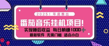 2025番茄音樂掛機新風口-每天5分鐘-矩陣操作月入破千+_搶占藍海先機-資源網站
