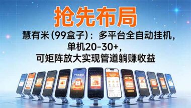 想副業賺錢？慧有米強勢回歸-手機操作秒提現-資源網站